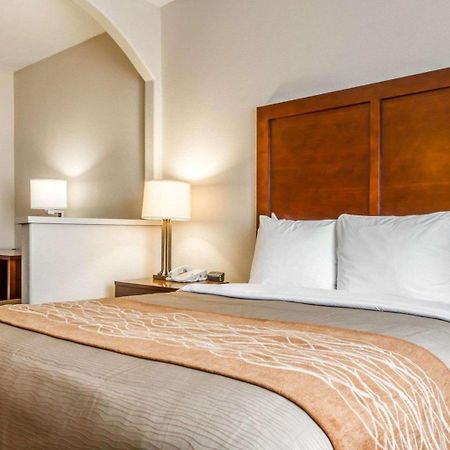 Comfort Inn & Suites Oakland Airport Extérieur photo