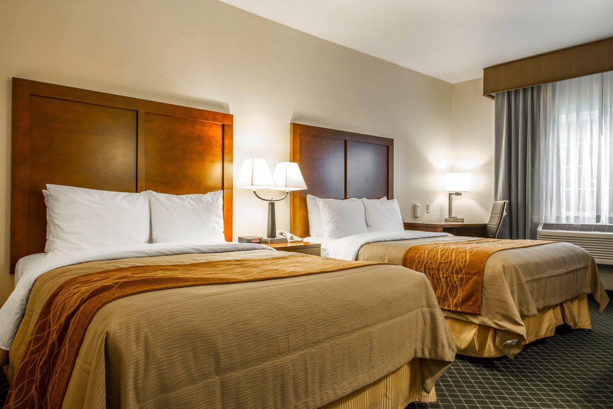 Comfort Inn & Suites Oakland Airport Extérieur photo