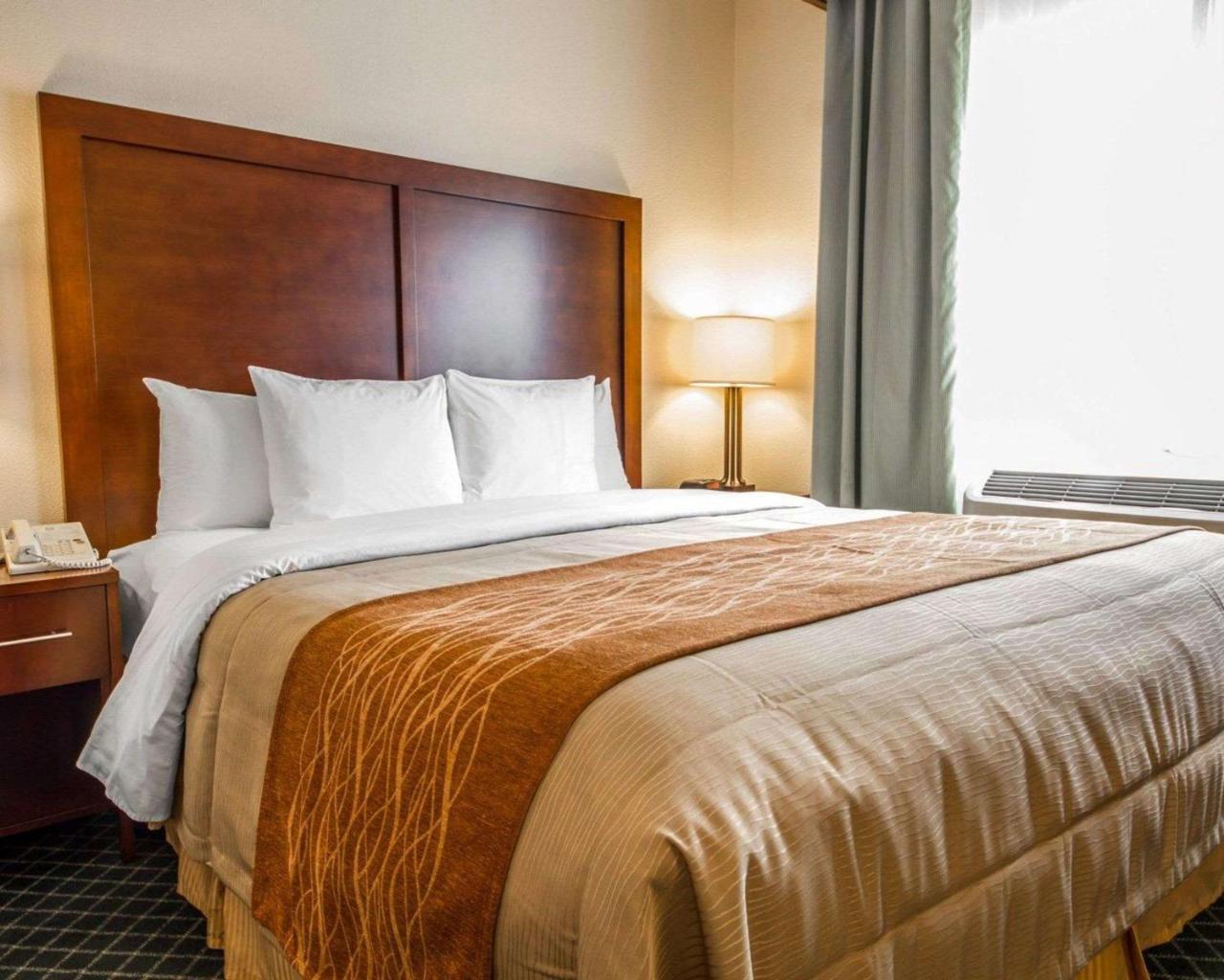 Comfort Inn & Suites Oakland Airport Extérieur photo