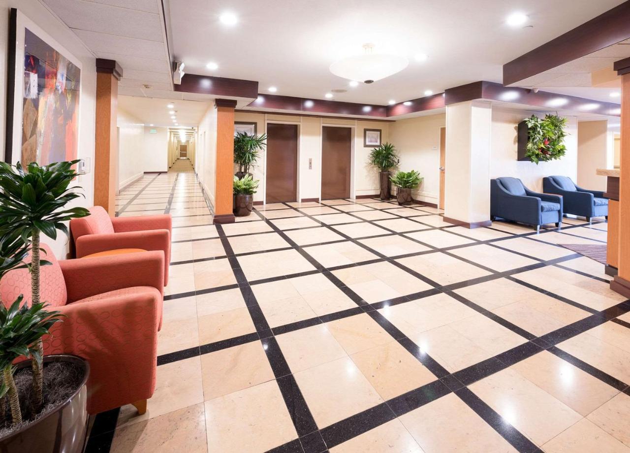 Comfort Inn & Suites Oakland Airport Extérieur photo